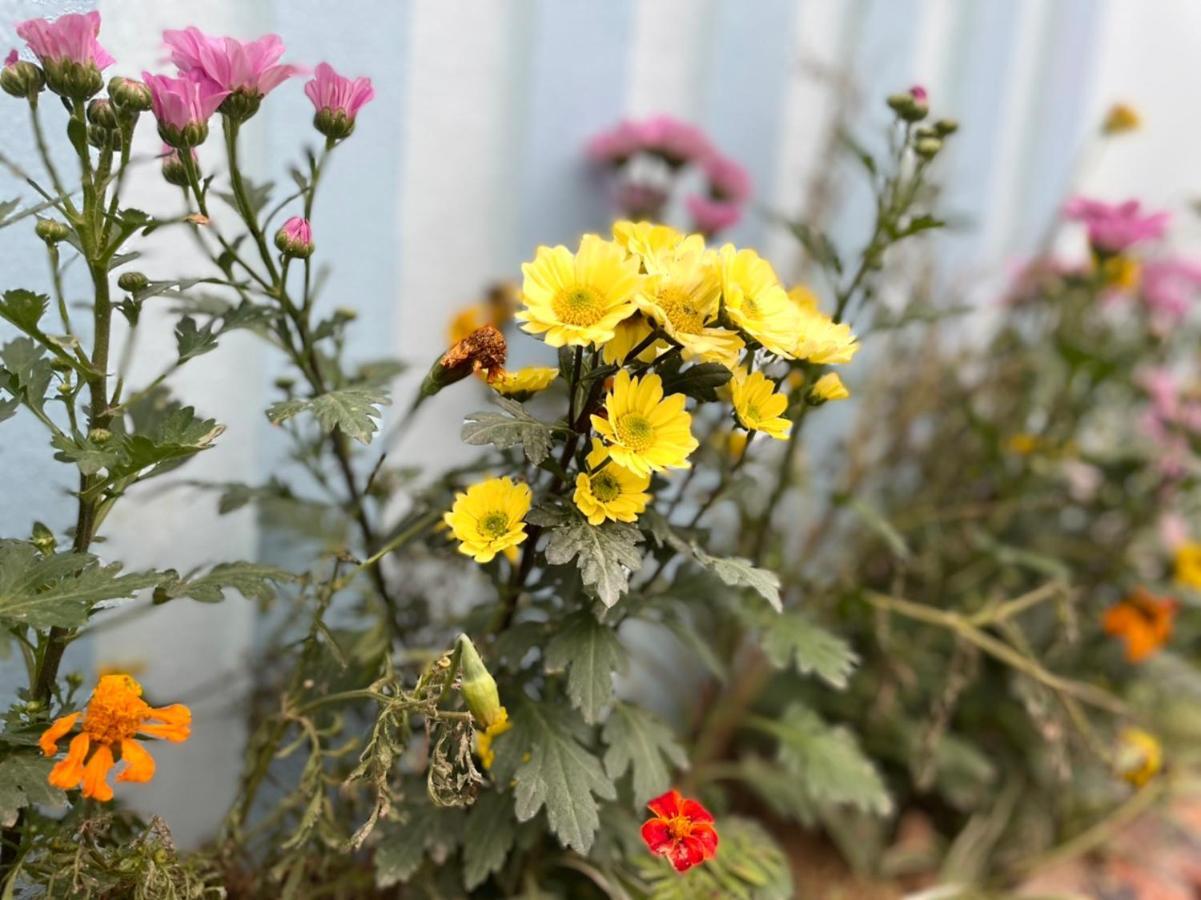An Bungalow - Mai Chau Villa Hòa Bình Kültér fotó